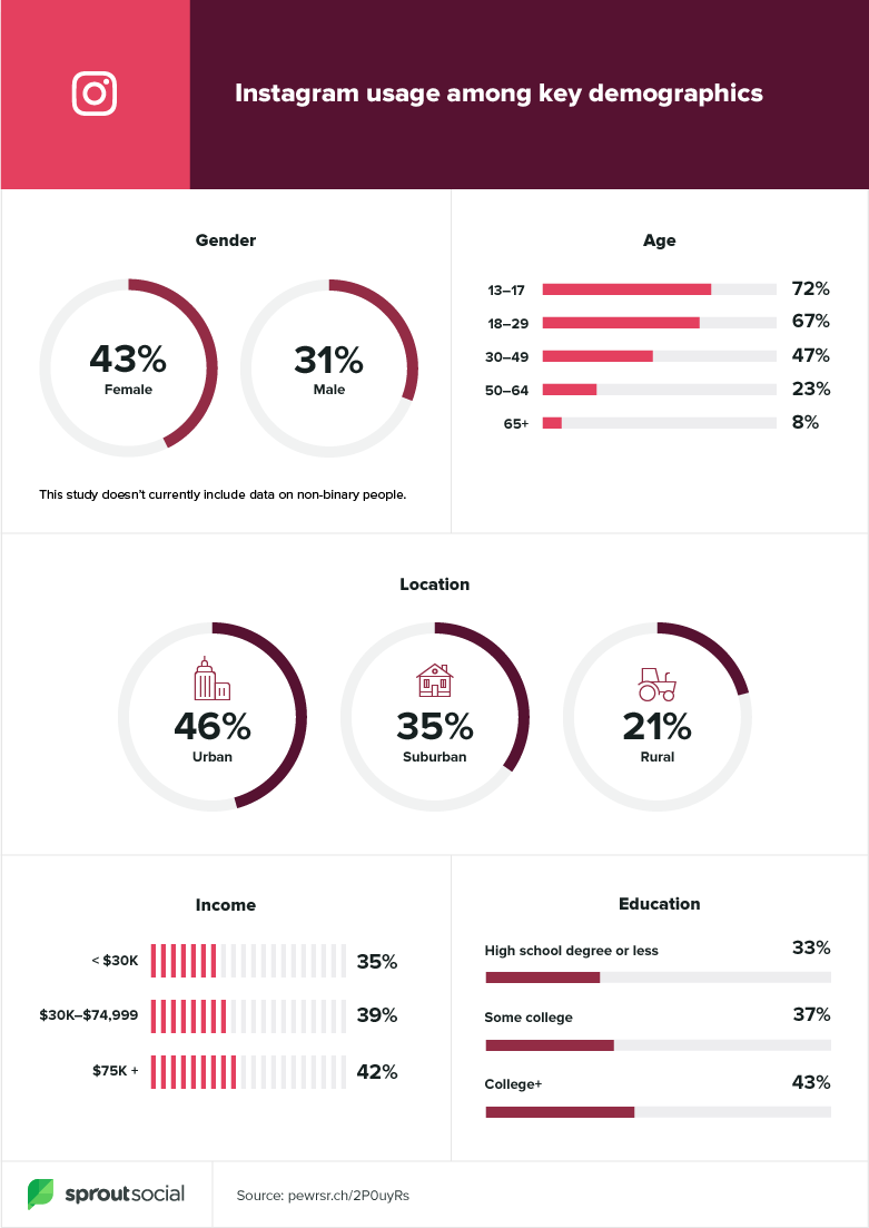 Instagram Demographics