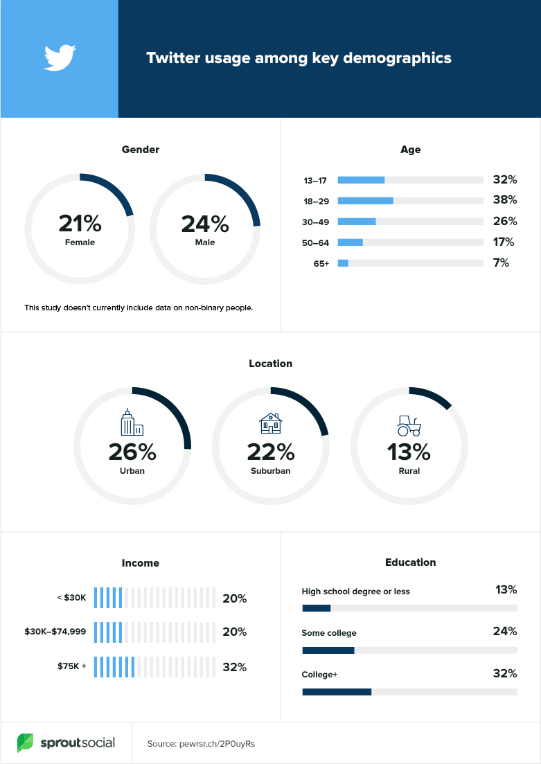 Twitter Demographics